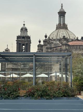 dining delights in Mexico City