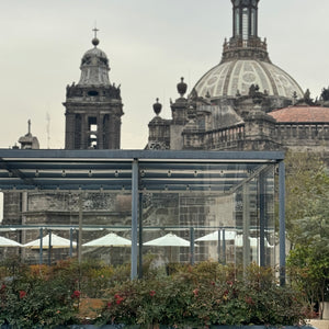 dining delights in Mexico City