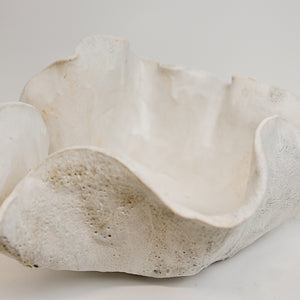 White Reef Open Vessel I The Shine Studios