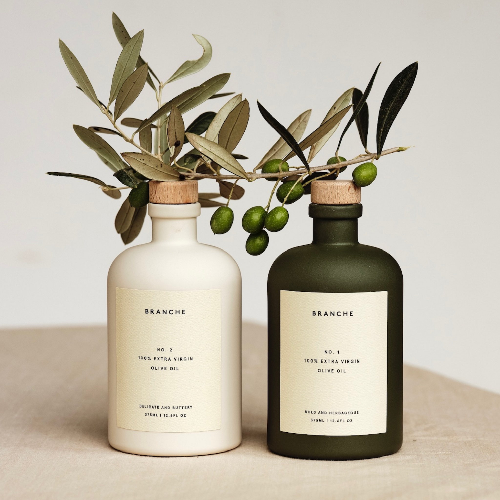 Branche Extra Virgin Spanish Olive Oils