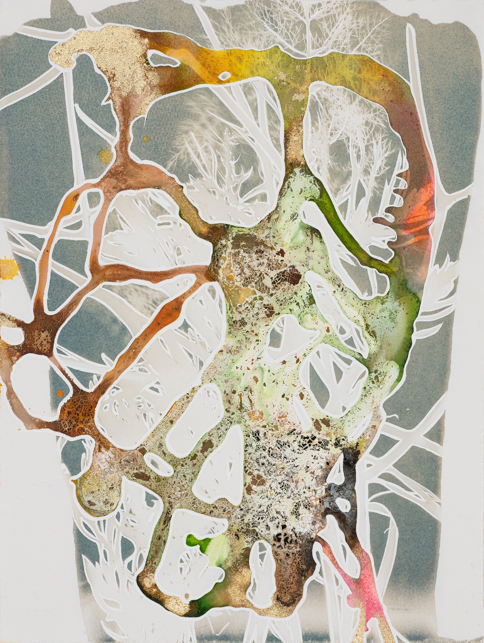 Caroline bullock costa flora series #10 ink art 11x15