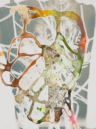 Caroline bullock costa flora series #10 ink art 11x15
