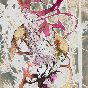 Caroline Bullock | Costa Flora (2)