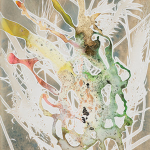 Caroline Bullock| Costa Flora 9  15x11 ink painting 