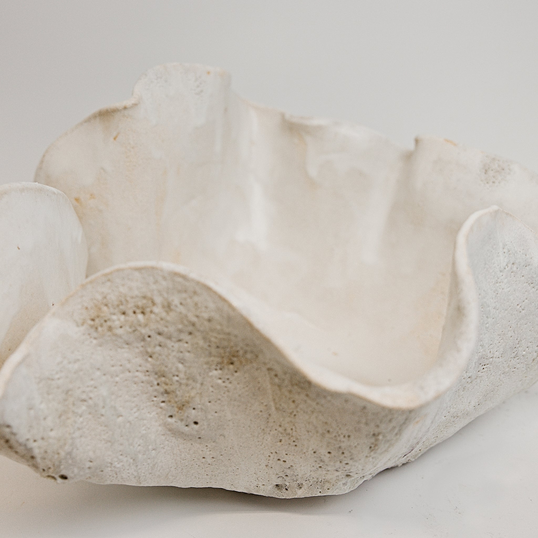 White Reef Open Vessels I