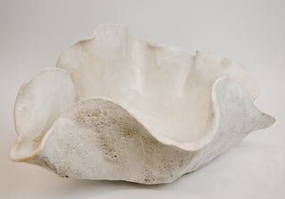 White Reef Open Vessels I