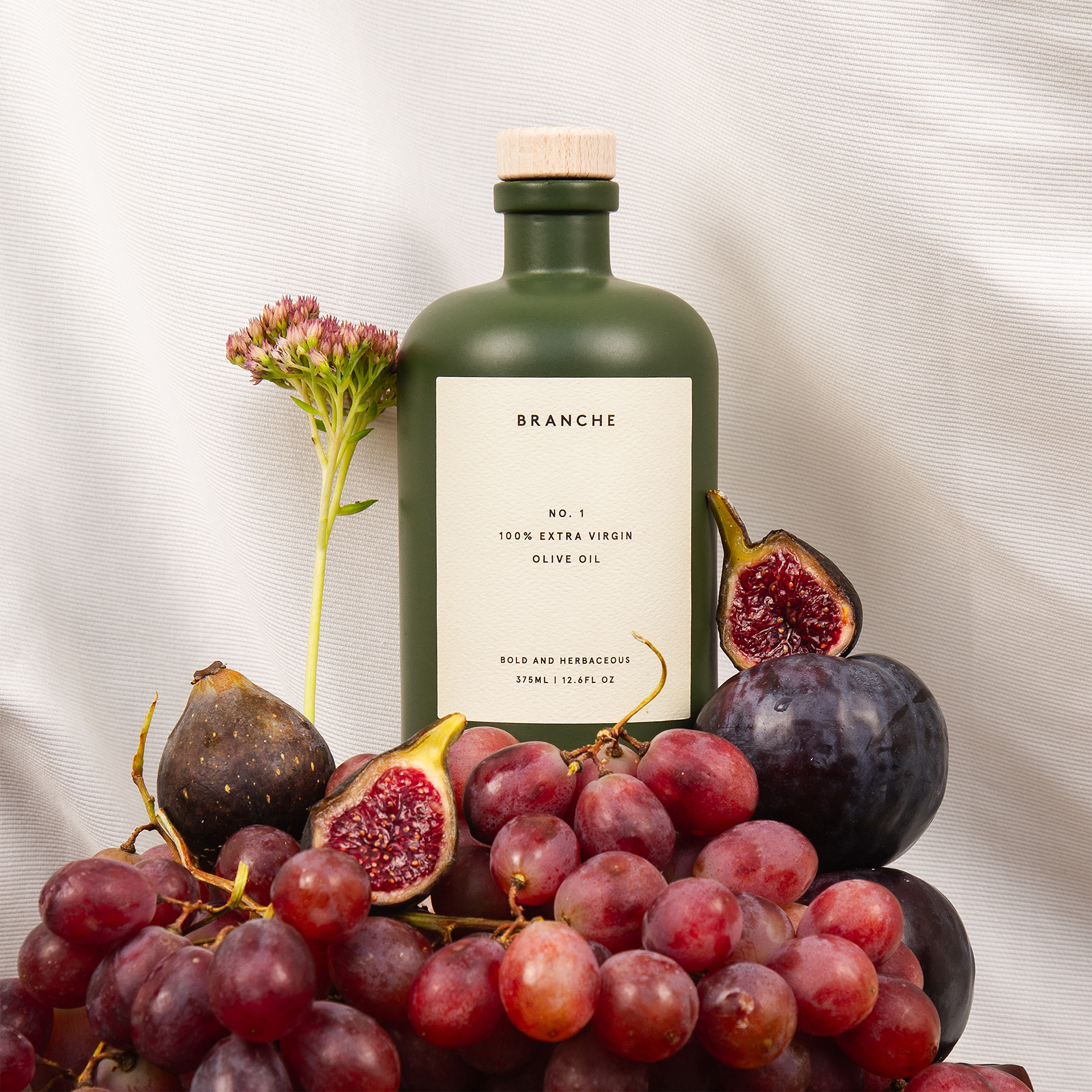 Branche Extra Virgin Spanish Olive Oils