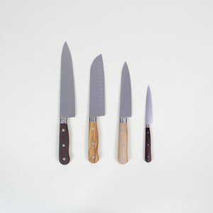 Laguiole Jean Dubost 4 Kitchen Knives Set Mixed Woods in Gift Box