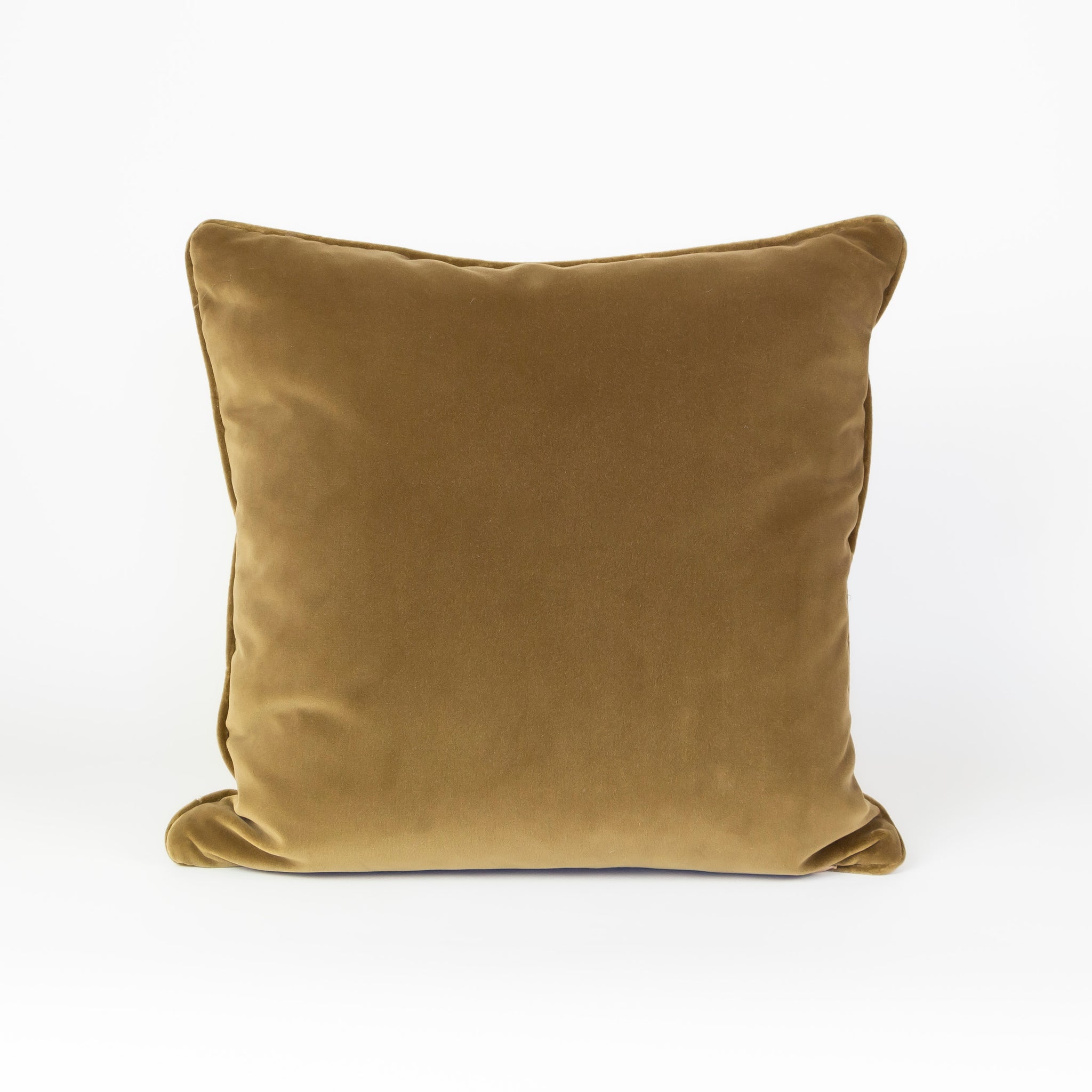 The Teddy Velvet Pillow